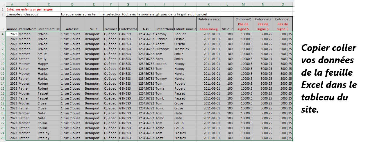 Copier Coller les données dans l'interface